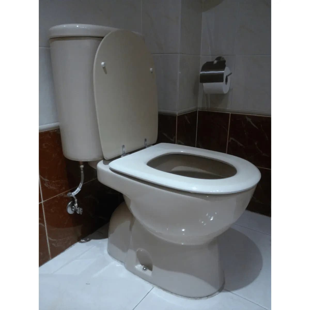 Tapa WC Compatible Domo de Sangrá