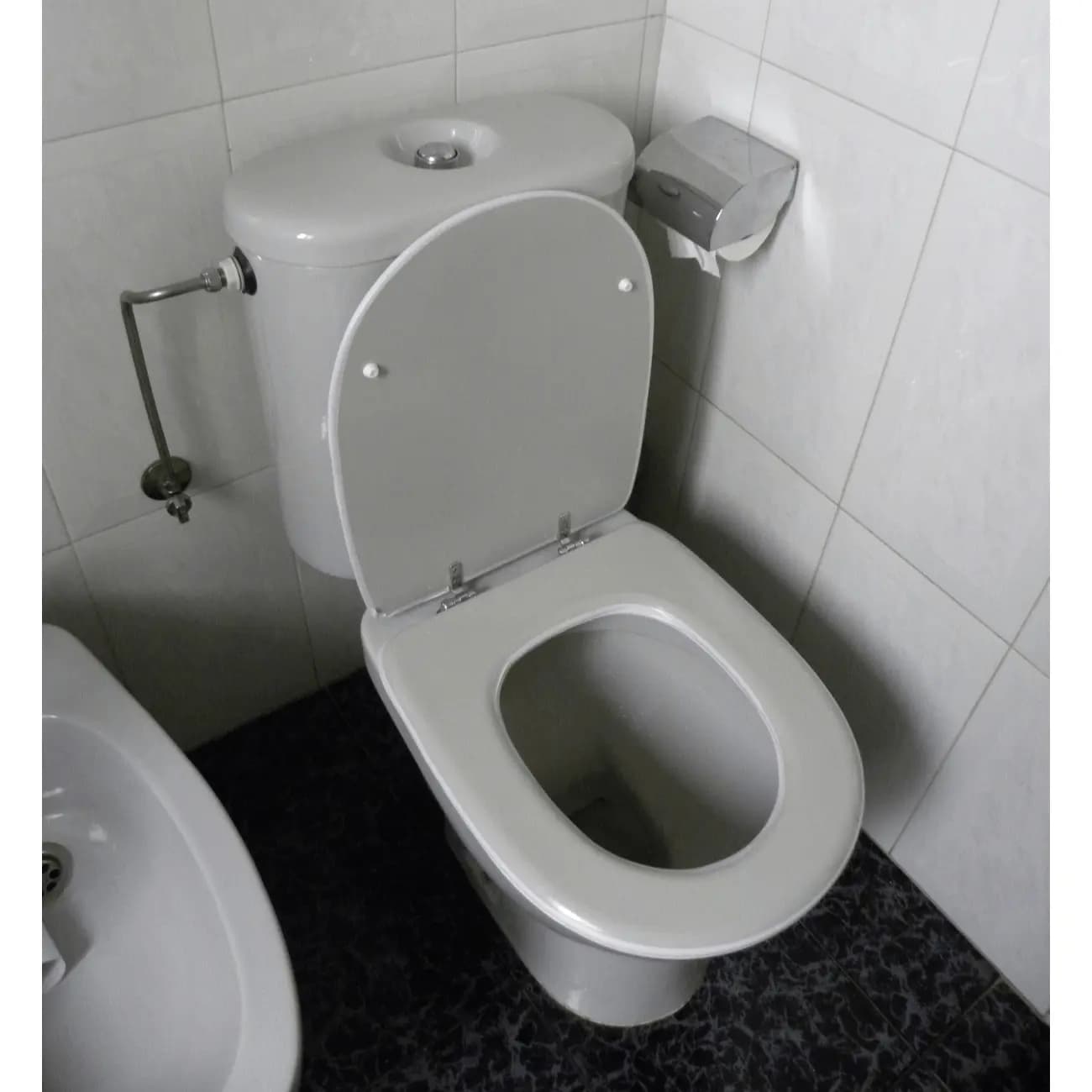 Tapa WC Compatible Domo de Sangrá