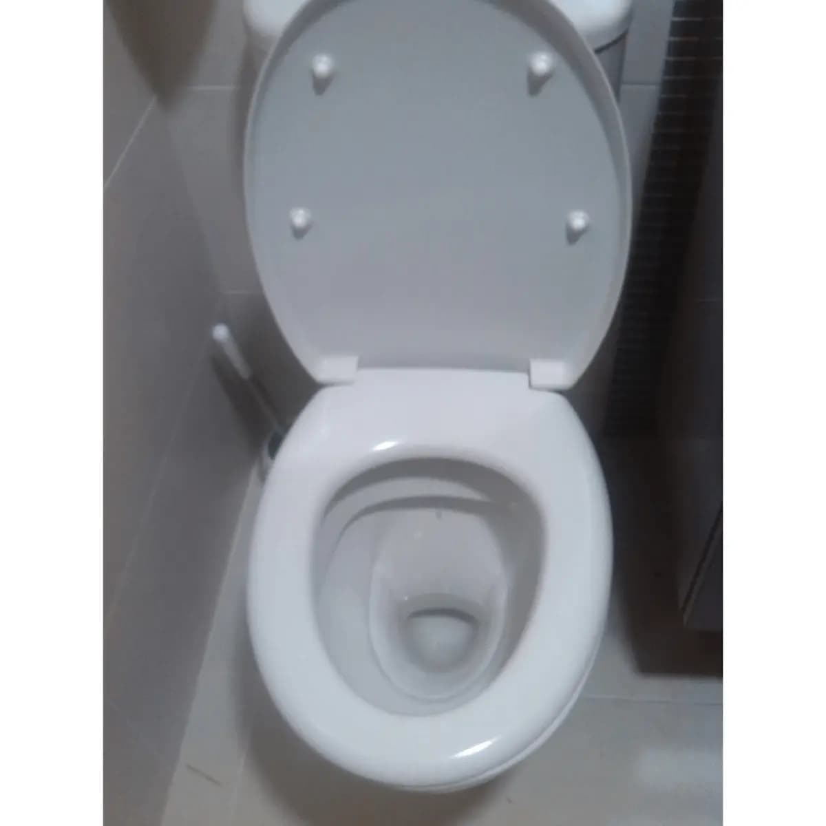 Tapa Wc compatible Ola de Jacob delafon