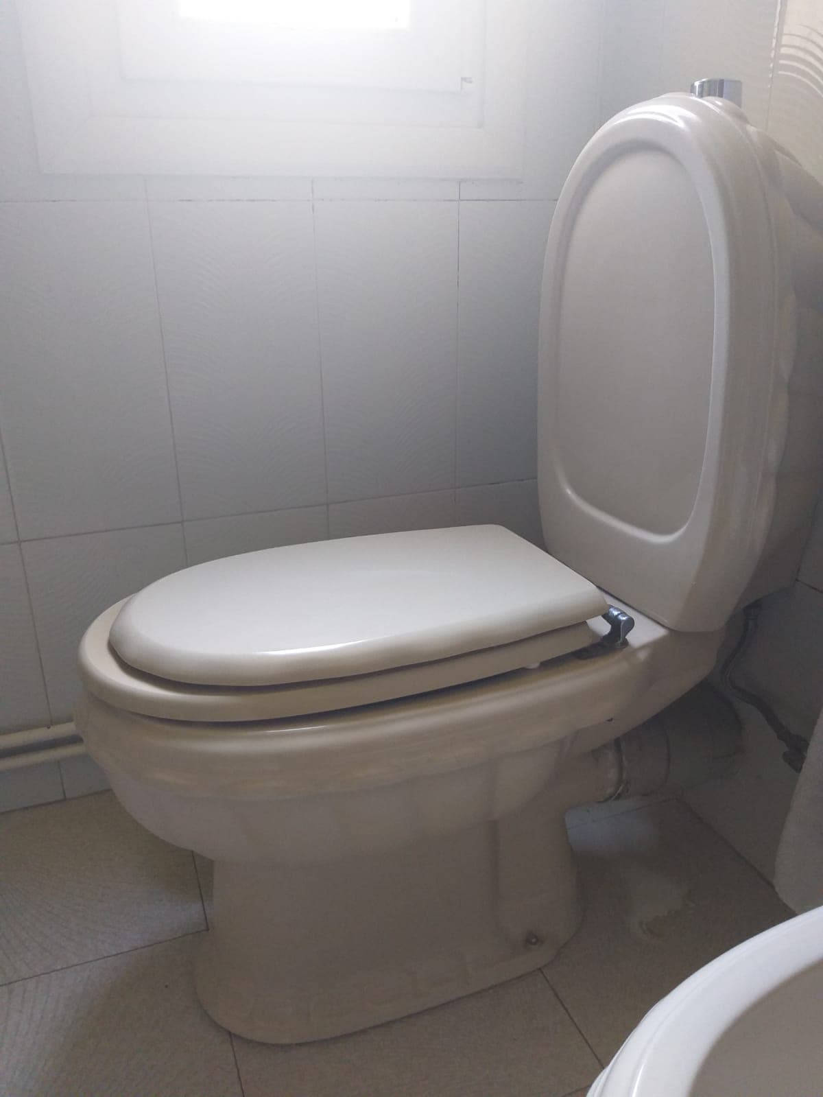 Tapa Wc compatible Diva de Globo