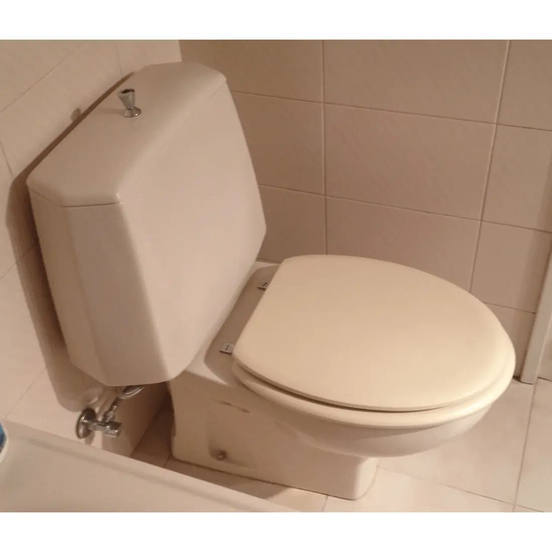 Tapa Wc compatible Neptuno de Jacob delafon