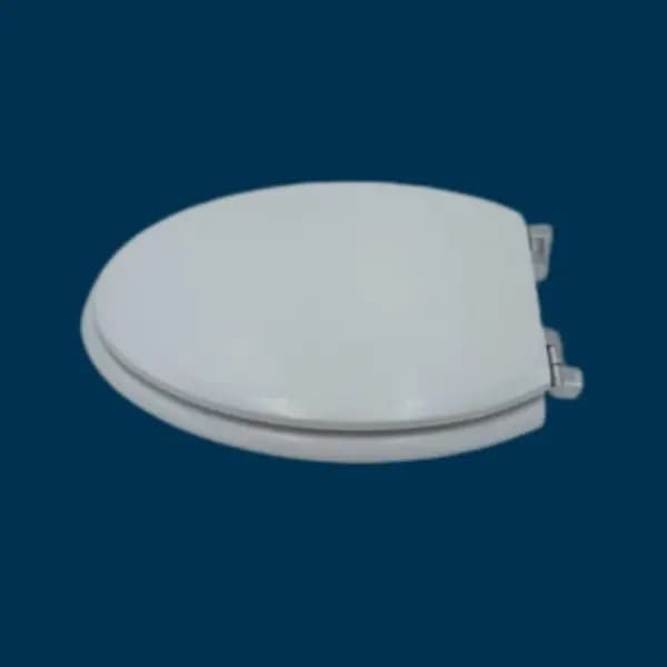 Tapa Wc compatible Neptuno de Jacob delafon