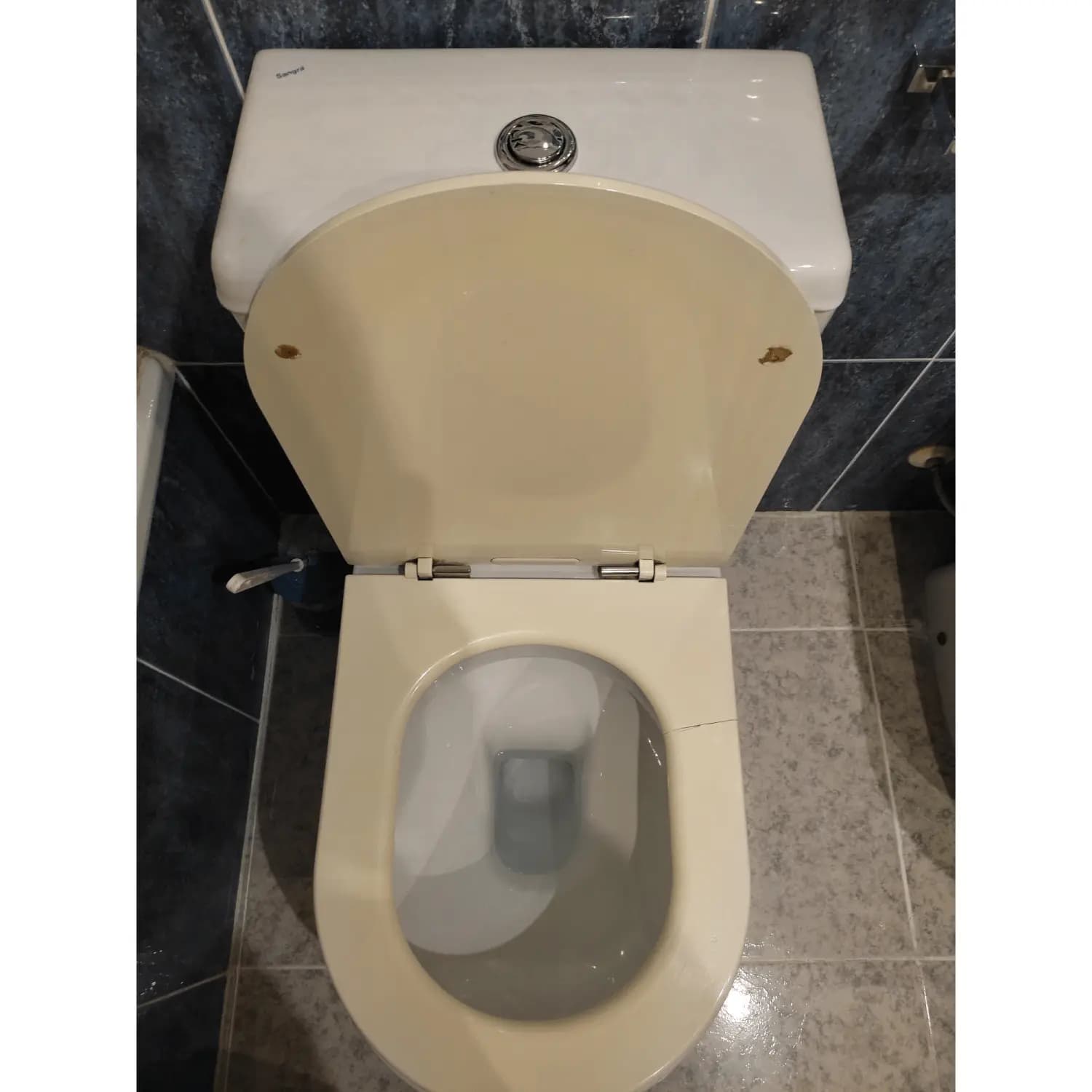 Tapa WC Compatible Stella de Sangrá