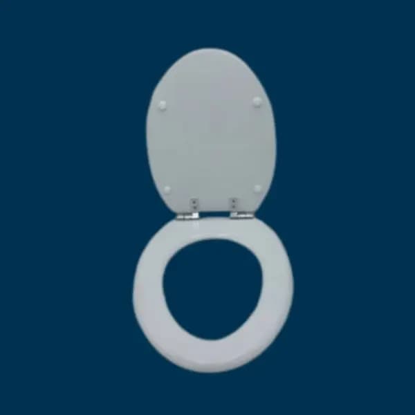 Tapa Wc compatible Neptuno de Jacob delafon