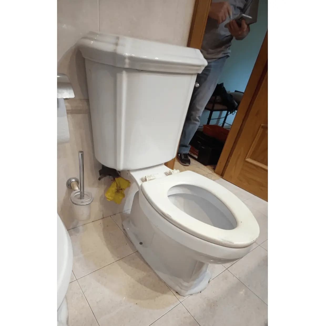 Tapa Wc compatible Portrait de Jacob delafon
