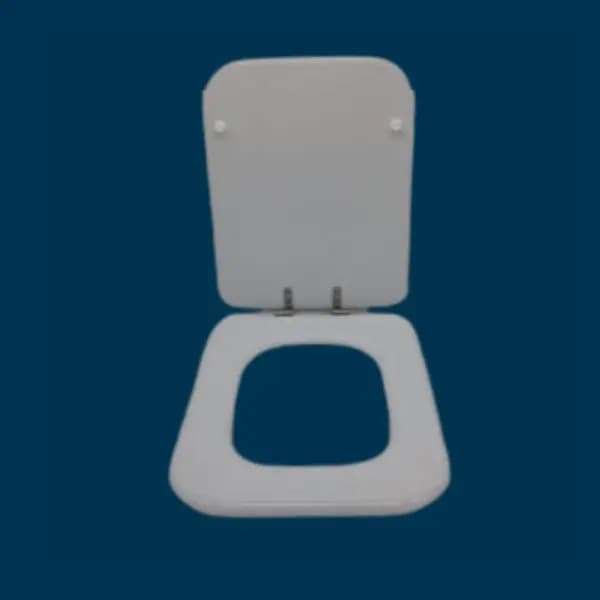 Tapa WC Compatible Taiga de Sangrá