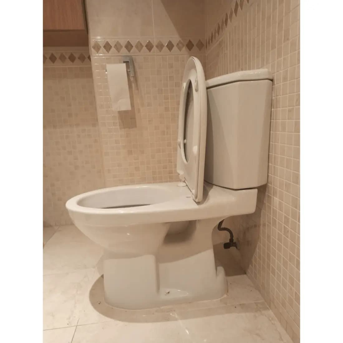 Tapa Wc compatible Odeon de Jacob delafon