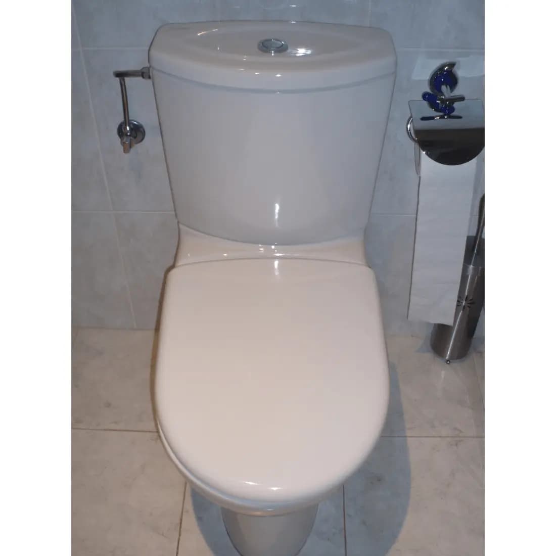 Tapa Wc compatible Odeon de Jacob delafon