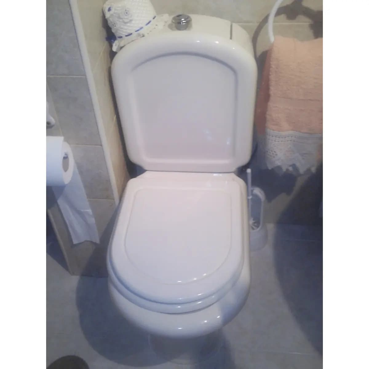 Tapa Wc compatible Regina de Sanitana
