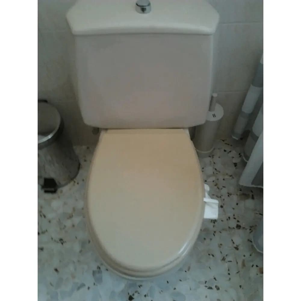 Tapa Wc compatible Neptuno de Jacob delafon