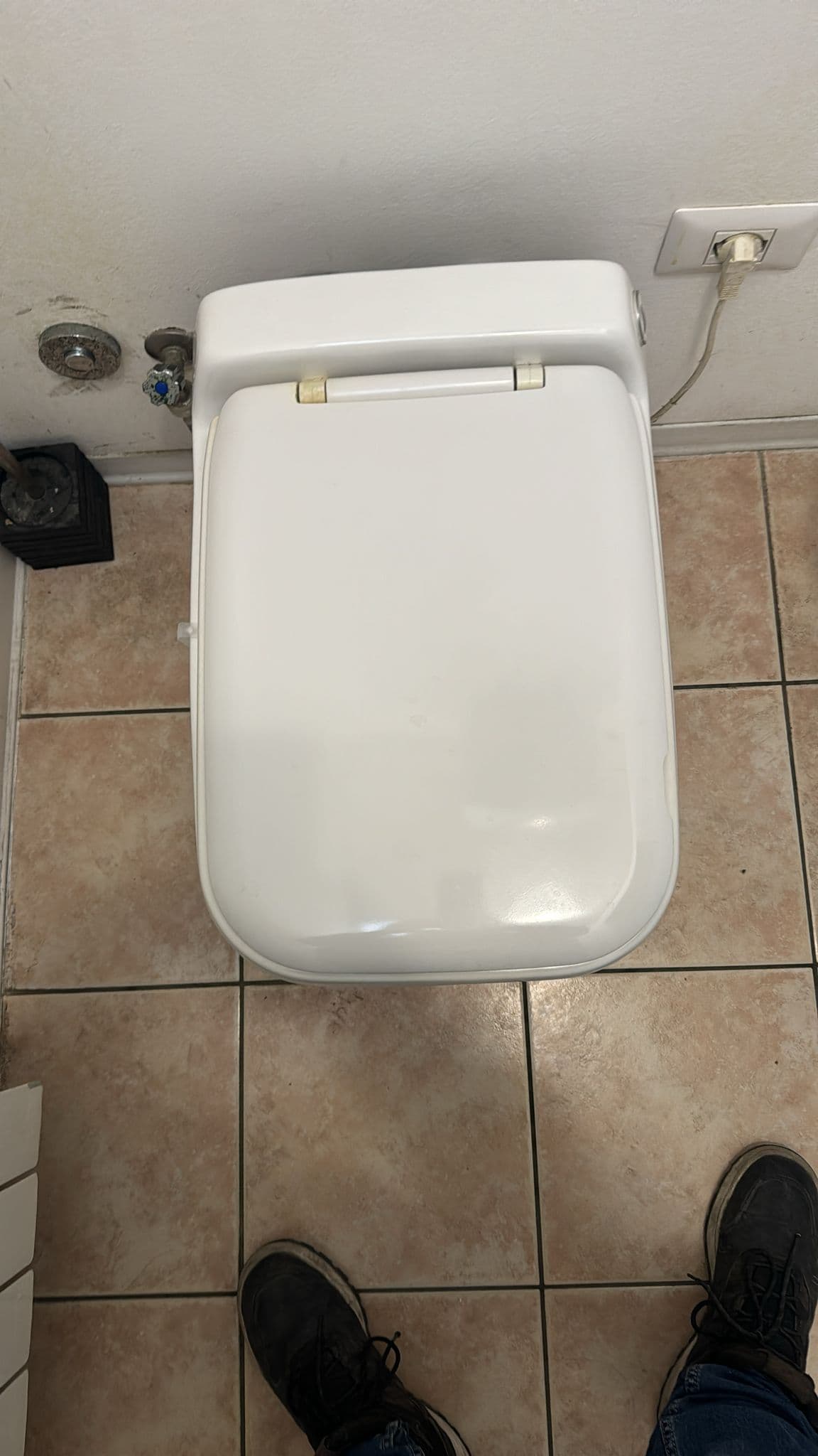 Tapa Wc compatible Compac luxe de Sanitrit