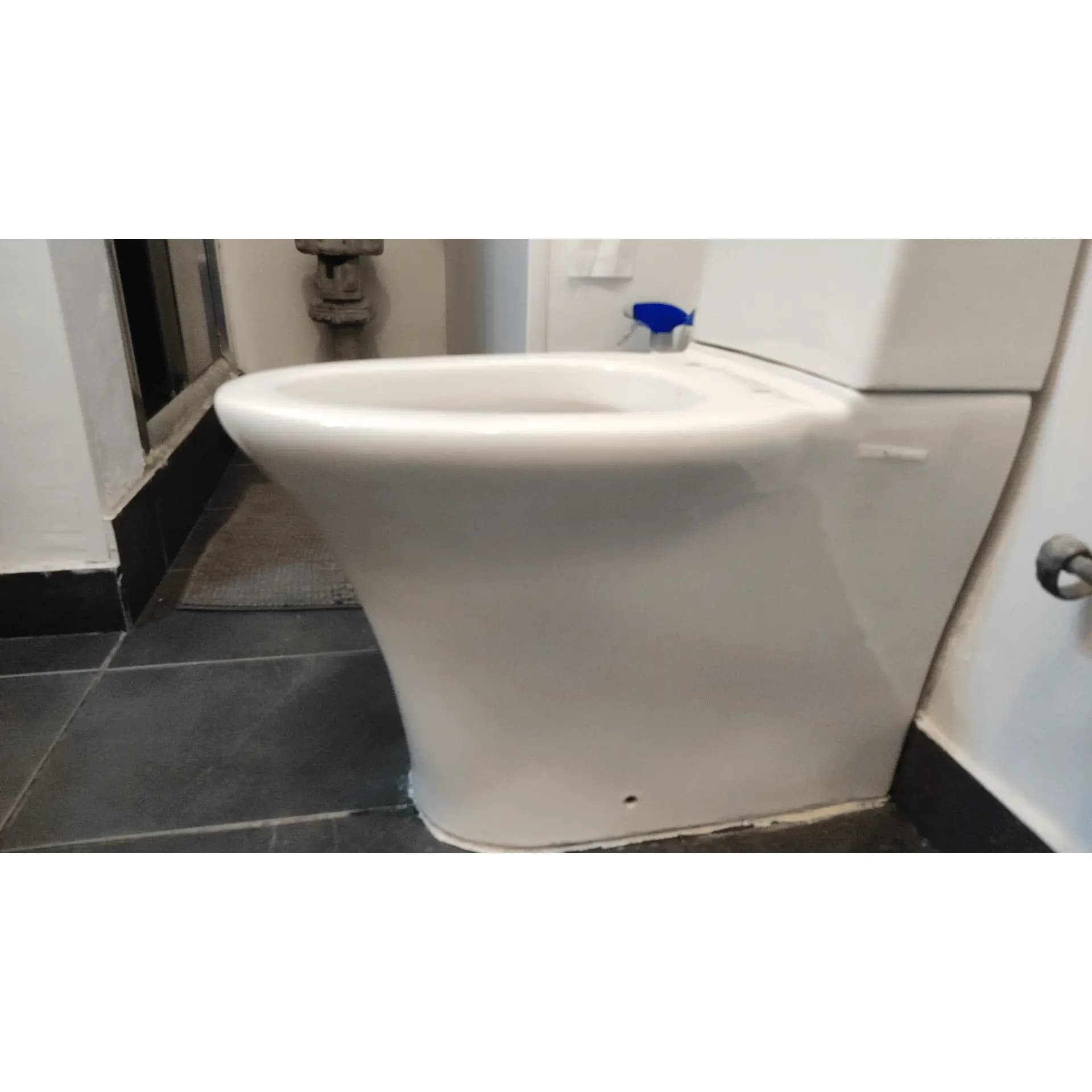 Tapa WC compatible Ibiza de BATHCO