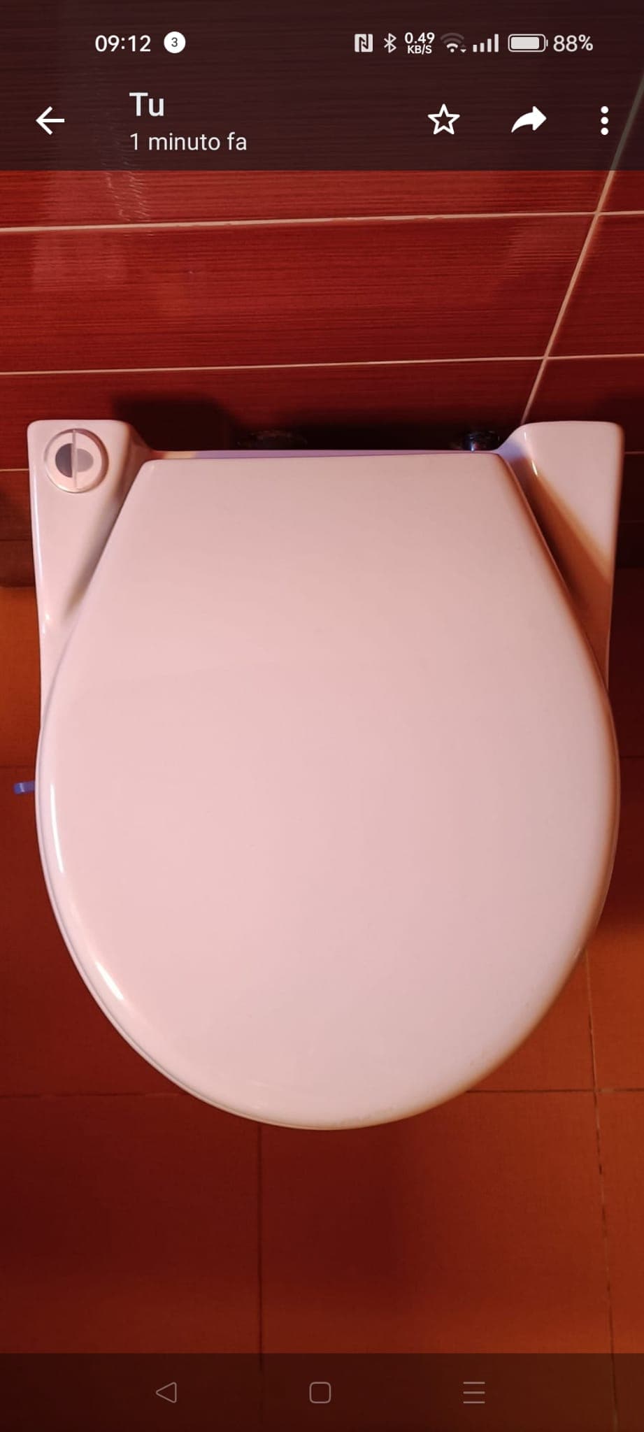 Tapa Wc compatible Sanicompac C43 de Sanitrit