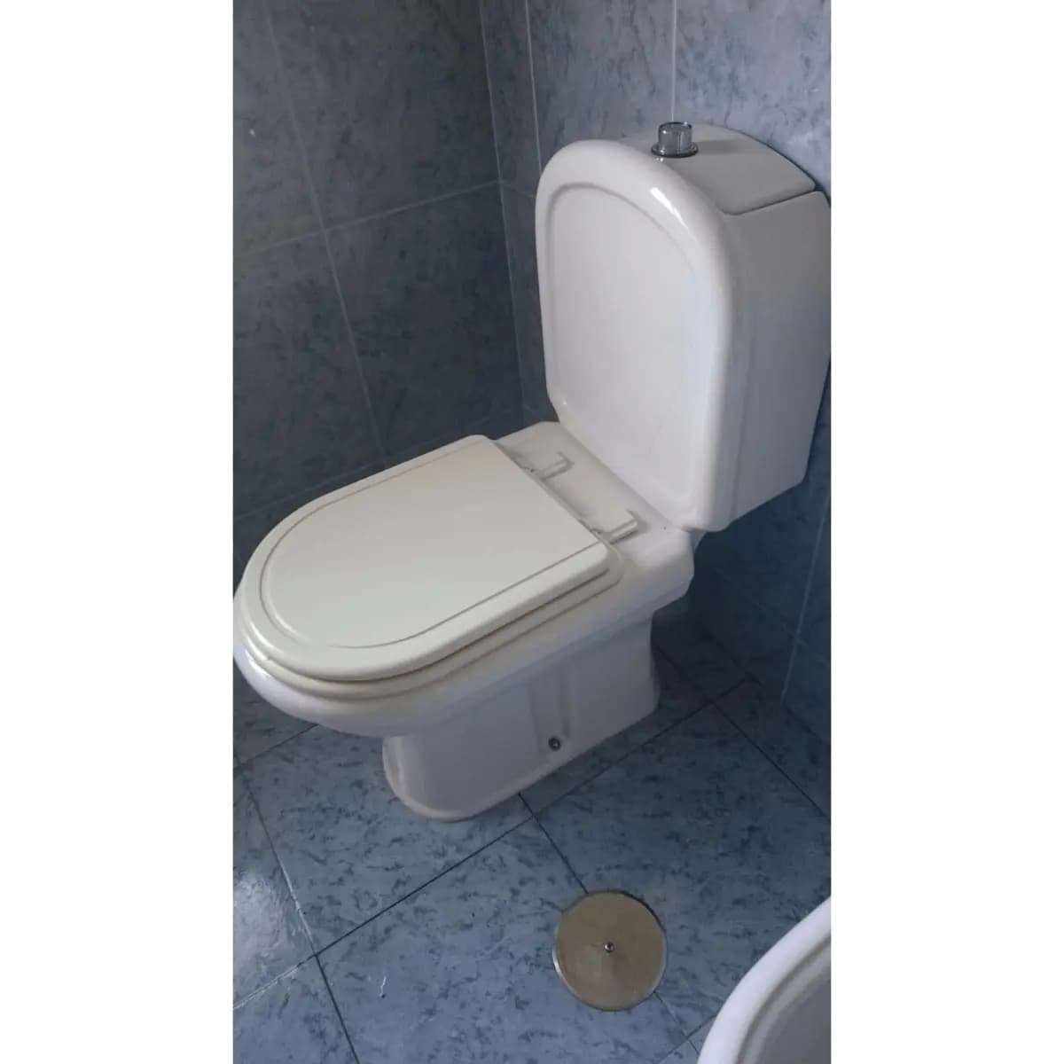 Tapa Wc compatible Regina de Sanitana