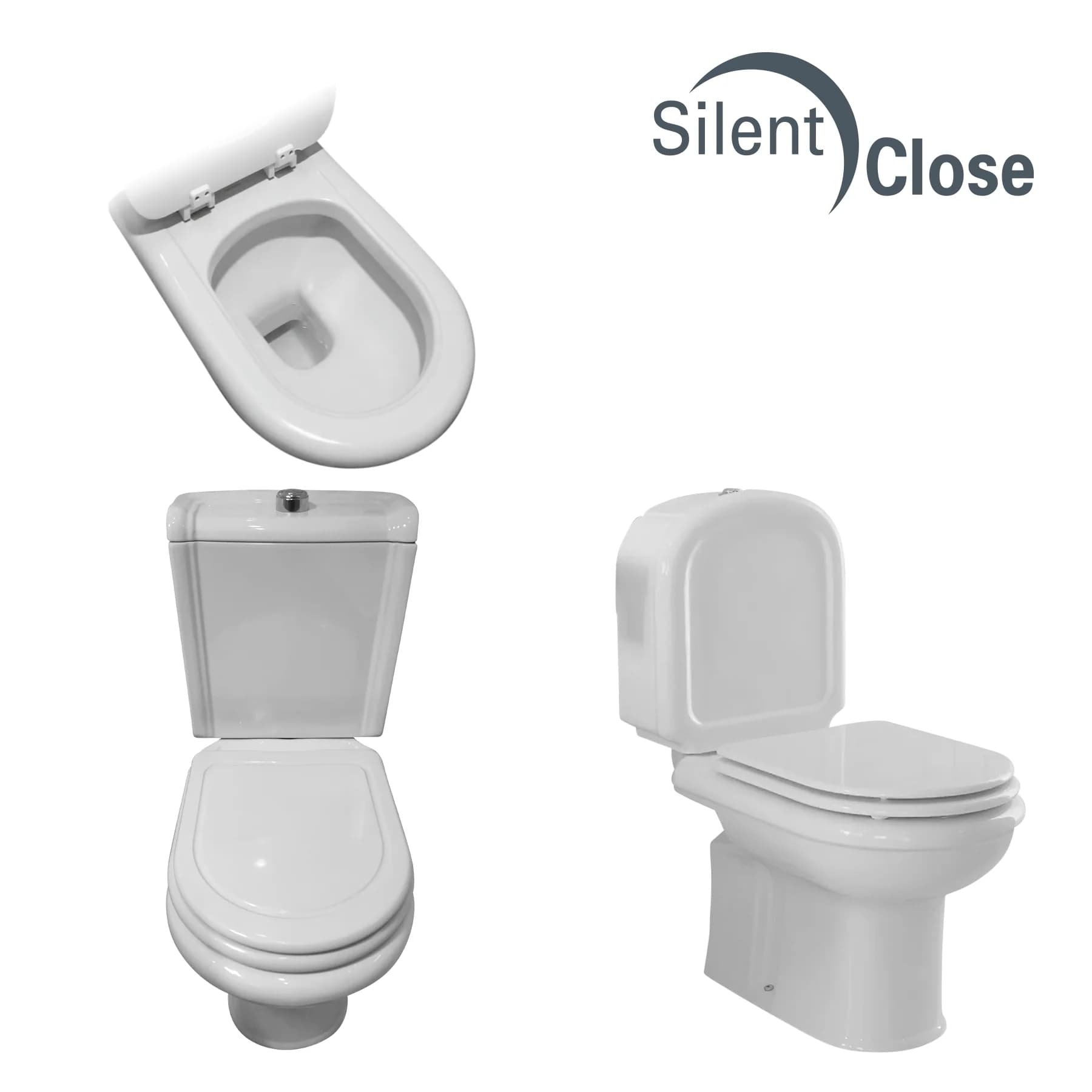 Tapa Wc compatible Regina de Sanitana